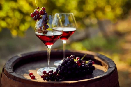 Brindisi: Appia in Wine